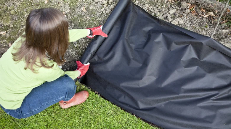 Move Over Landscape Fabric: This Mulch Material Is Cheaper