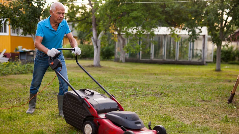 Mow Your Lawn With Ease With This Ingenious Pool Noodle Hack