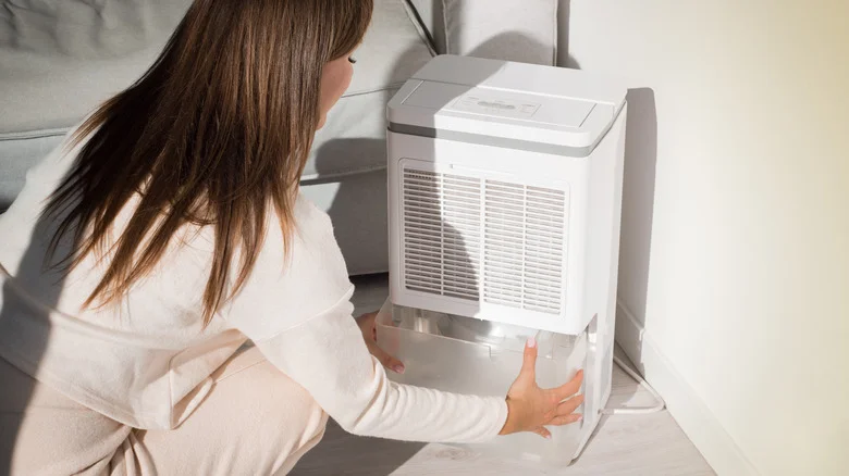 Never Pour Dehumidifier Water Down The Drain Again With This Brilliant Hack