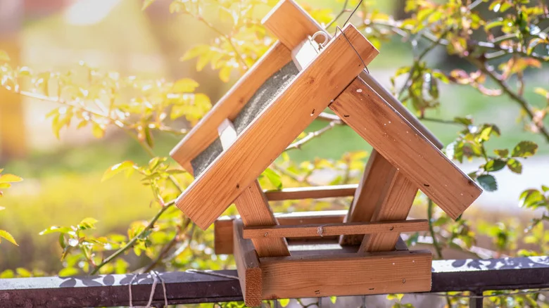 New Bird Feeder? Don’t Just Put The Food Inside, Spread It Around!