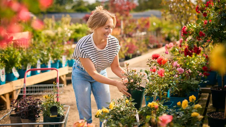 No Garden Space? Turn An Old Wagon Into A Cute, Rustic Raised Planter