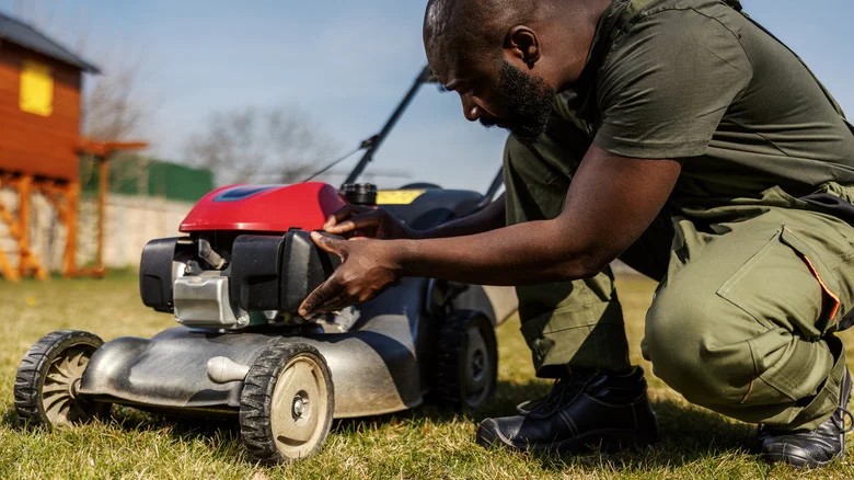 Not A Lawn Mower: There’s An Alternative For Cutting Your Grass You Probably Already Have