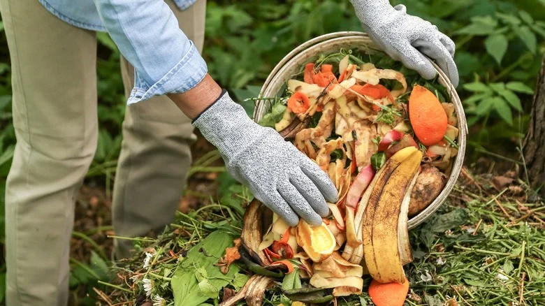 Not Banana Peels: The Carb-Filled Kitchen Scrap Your Compost Will Love