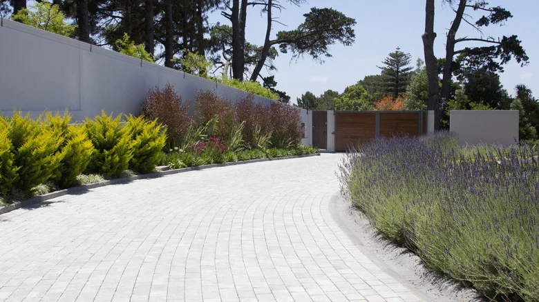 Not Brick, Not Pavers: The Driveway Edging Idea To Add Extra Foliage To Your Front Yard