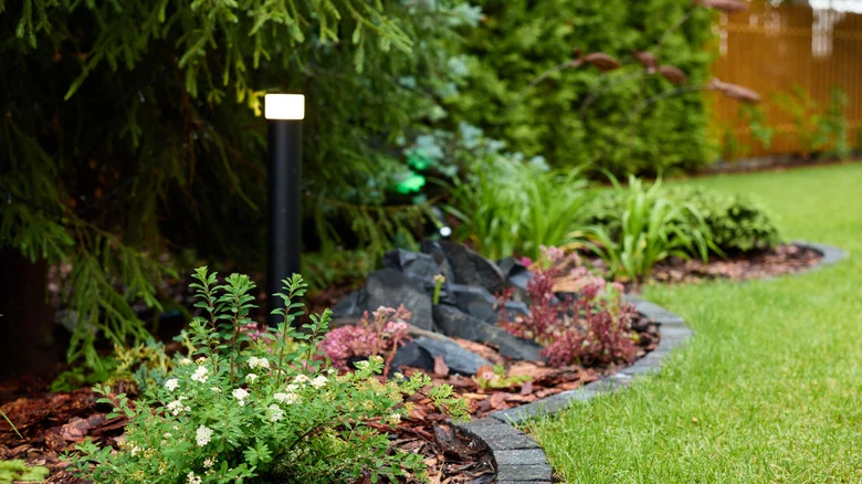 Not Brick, Not Pavers: The Garden Edging Idea You Can DIY For Less