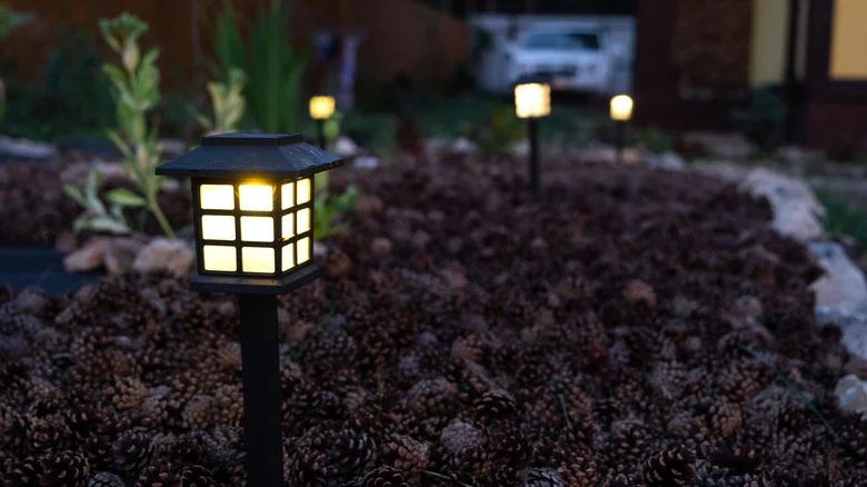 Not Brick Or Pavers: The Colorful Garden Edging Amazon Find That Lights Up Your Yard