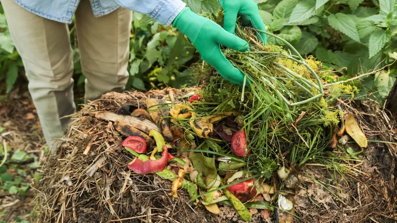 Not Fallen Leaves Or Grass Clippings: The Garden Pruning Scrap To Add To Compost