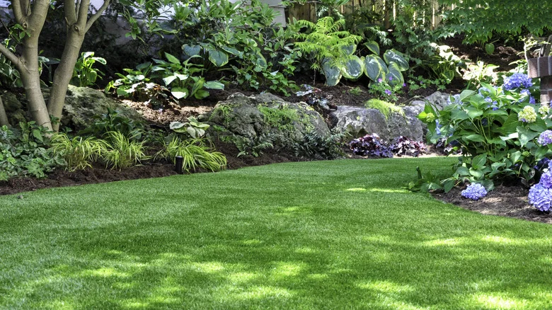 Not Hostas, Not Coral Bells: The Bold Yellow Plant That’s Great For Your Shaded Garden