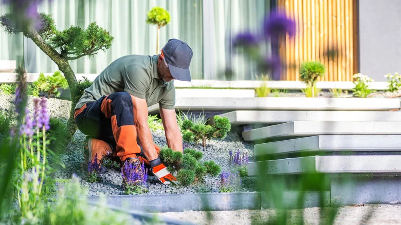 Not In The Driveway Or As Mulch: The Eco-Friendly Material Making Gardens Beautiful In 2026