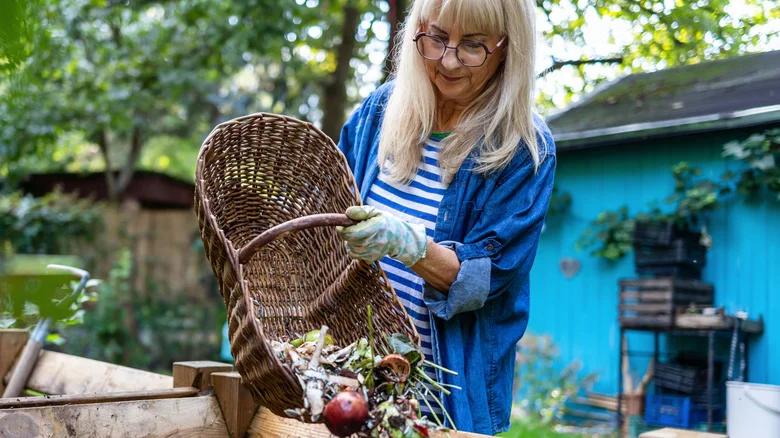 Not Paper Towel Rolls: The Alternative Kitchen Garbage To Add To Your Compost