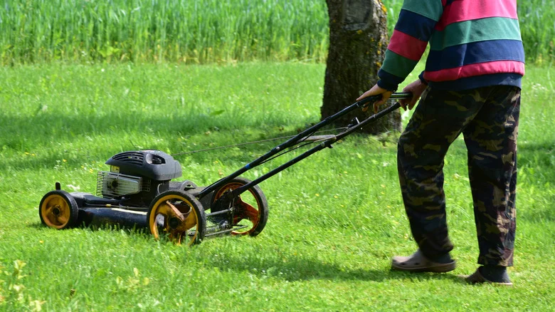 Not Ryobi, Not Kobalt: Consumer Reports Names The Top Battery Push Mower