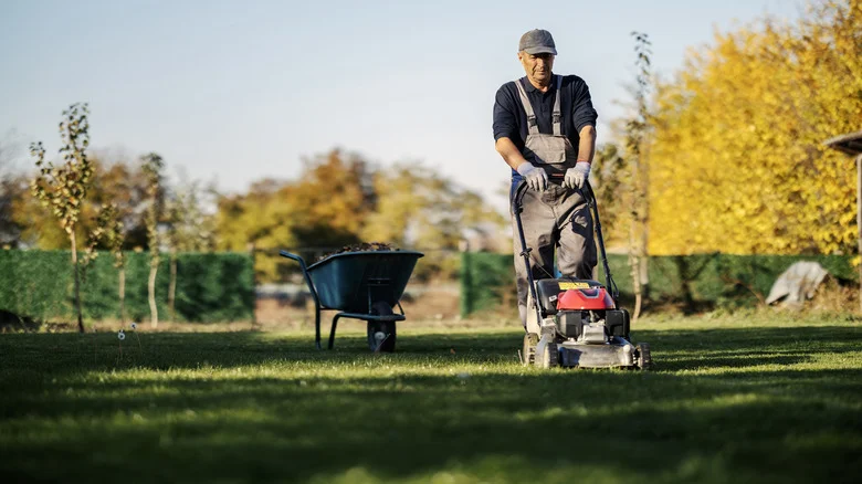 Not Stripes Or Checkered: The Lawn Pattern That’ll Add Visual Interest To Your Yard