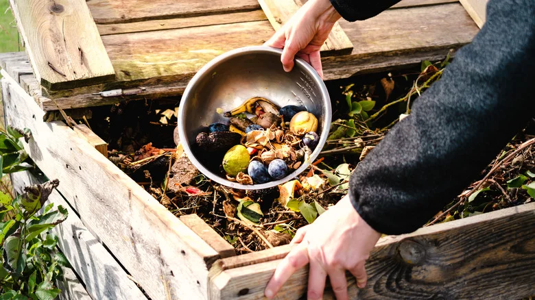 Not Tissues: The Overlooked Scrap From Your Bedroom To Compost