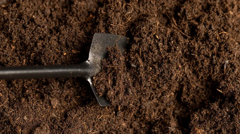 Old-Fashioned Ways To Revive Garden Soil (And How To Do It Today)