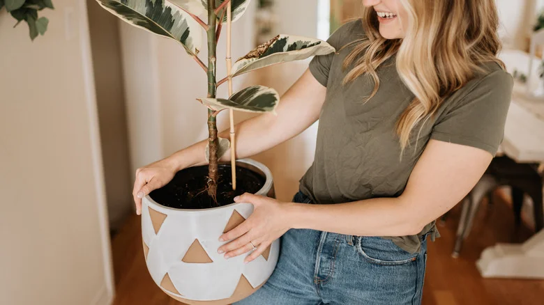 One Clever Hack Saves You From Buying A New Planter For Your Large Plant