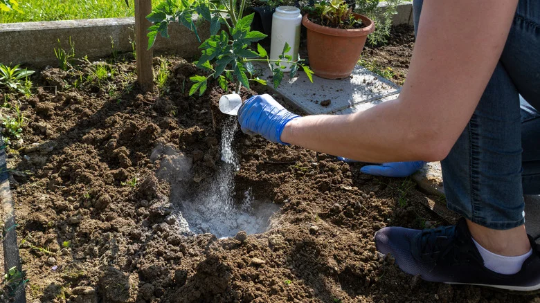 One Fertilizer Habit Most Gardeners Overlook