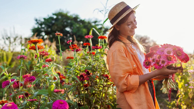 One Of The Best Zinnia Companion Plants Is A Delicious, Easy-To-Grow Herb