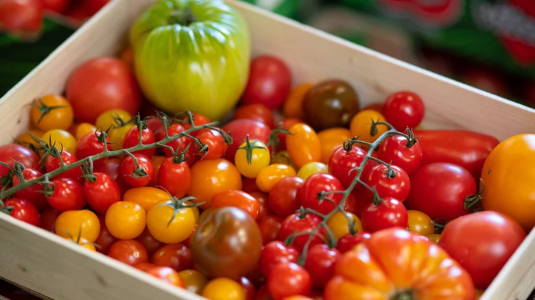 Our Expert Gardener Tells Us 10 Delicious Heirloom Tomato Varieties To Harvest This Summer