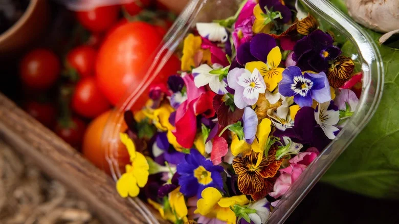 Our Expert’s Tips To Ensure That The Edible Flowers In Your Garden Are Safe To Eat