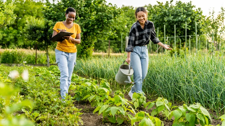 Our Garden Education Expert Says These Gardening Trends Will Dominate Throughout 2024