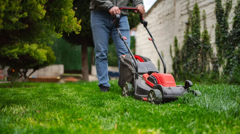 Our Lawncare Pro Agrees: This Trick Makes Mowing An Overgrown Lawn So Much Faster