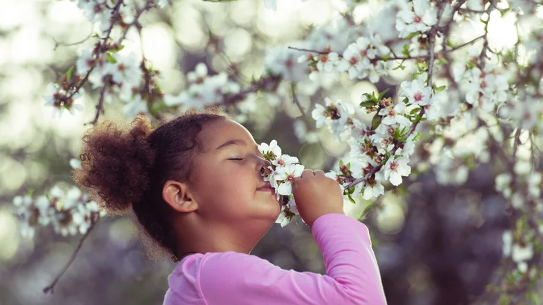 Our Master Gardener Says When Should You Worry About The Effect Of Cold Weather On Your Flowering Trees