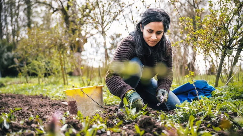 Our Pro Gardener Shares 12 Gardening Resolutions For The New Year