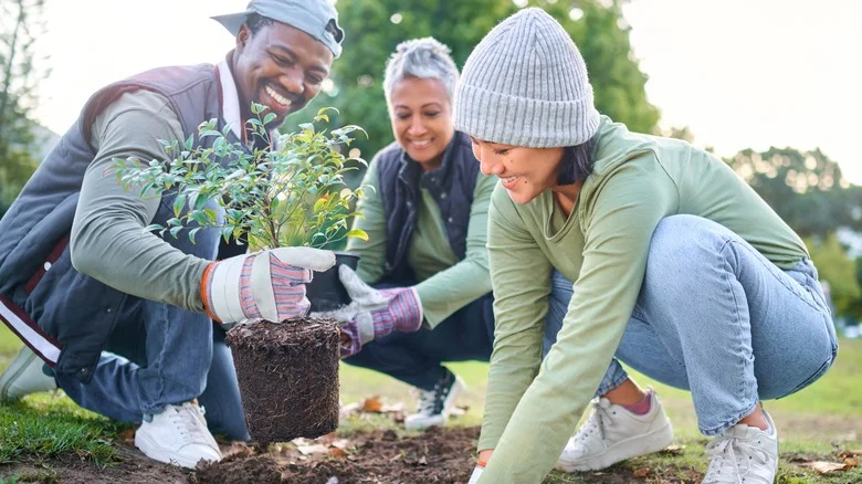 Overrated Gardening Tips That Aren’t Worth Your Time
