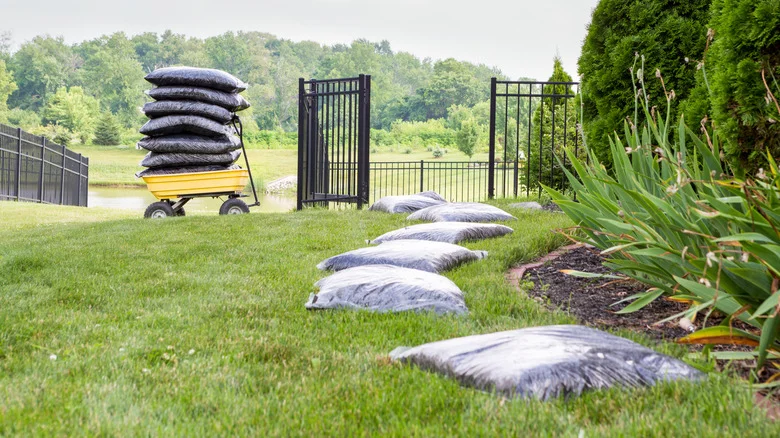 Pine Straw Vs Mulch: Only One Reigns Superior For Your Garden