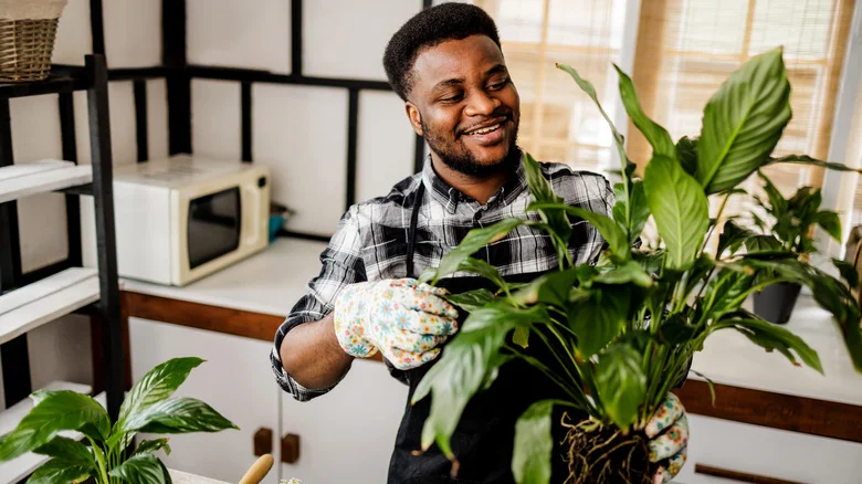 Plant Secrets Only Gardening Experts Know
