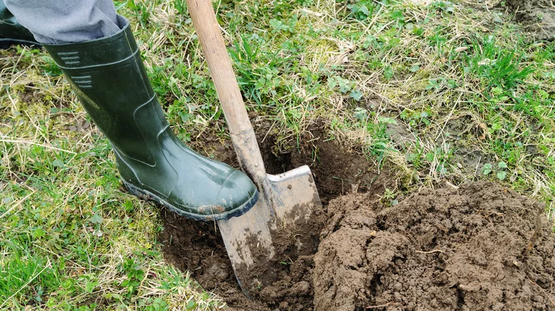 Planting Trees Just Got A Whole Lot Easier With This WD-40 Hack