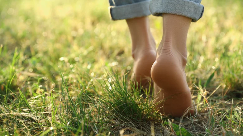 Pre-Emergent Or Overseed? The Best Spring Solution For A Lush Lawn