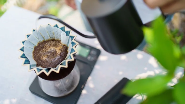 Prep Your Garden Like A Pro With This Coffee Filter Trick