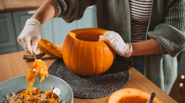 Preserve And Save Pumpkin Seeds To Plant Next Year With A Window Screen Hack