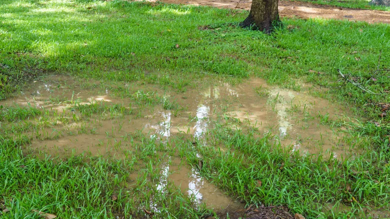 Prevent Rain Runoff With A Natural Gardening System That Really Works