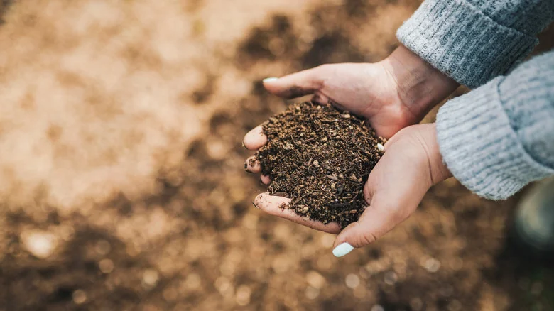 Prevent Wasting Precious Garden Soil With A Few Repurposed Household Items