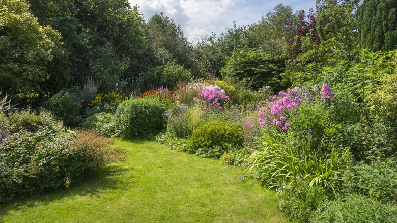 Protect Plants From The Brutal Heat With This Smart Landscaping Tip