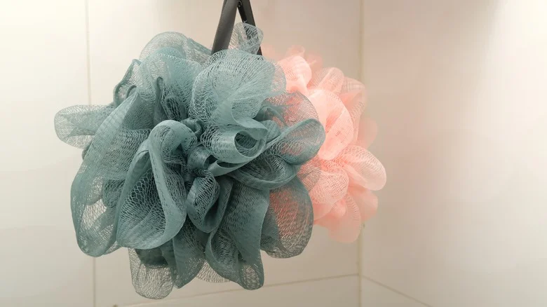 Protect Your Growing Garden Veggies With An Easy Shower Mesh Pouf Hack