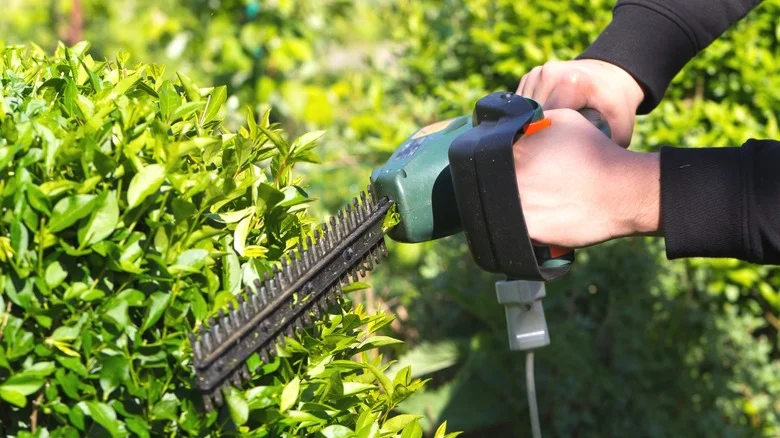 Protect Your Trimmer Cord From Getting Cut By Using A Pool Noodle Hack