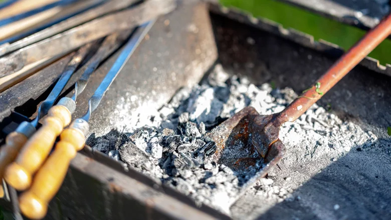 Read This Before You Sprinkle Charcoal Ash From Your Grill On Your Garden