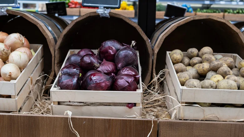 Regrow Grocery Store Red Onions For An Endless Supply Of Unique Flavor