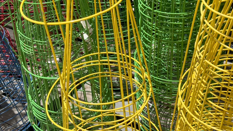 Repurpose An Old Tomato Cage In Order To Train Your Viney Houseplants