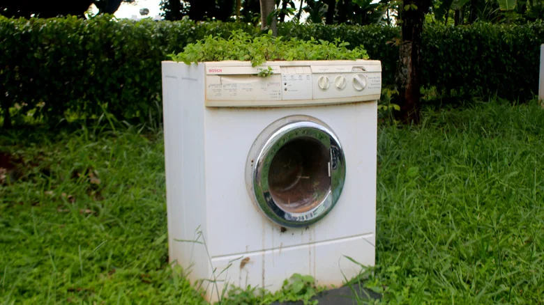 Repurpose An Old Washing Machine To Grow A Bounty Of Veggies In The Backyard