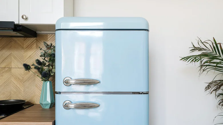 Repurpose The Empty Space Above Your Fridge Into An Herb-Drying Station