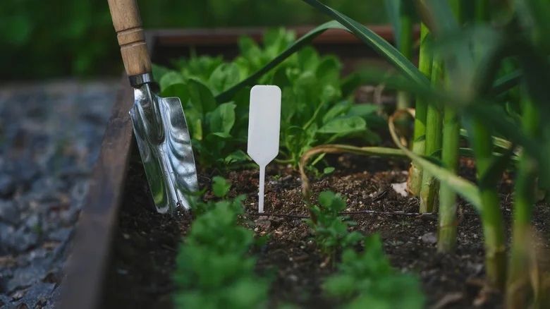 Repurpose These 2 Items To Create Affordable And Colorful Raised Garden Beds