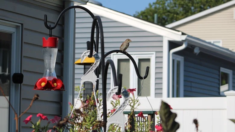 Reuse A Shepherd’s Hook For A DIY Garden Trellis On A Budget