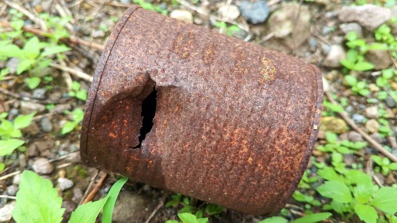 Reuse That Rusty Coffee Can As An Aesthetic Hanging Planter With This TikTok Trick