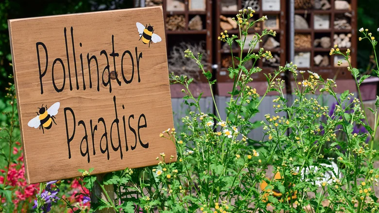 Reuse These 8 Common Household Items To Make Your Garden A Pollinator Haven