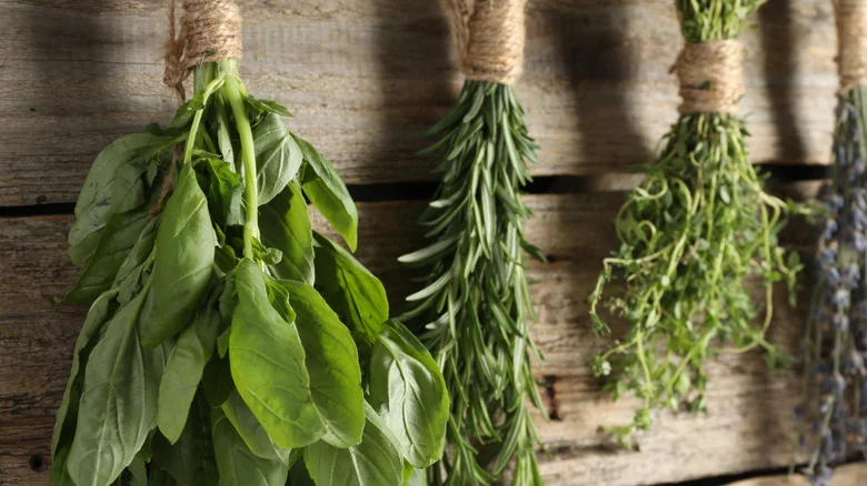 Run To Dollar Tree To Get Everything You Need For A DIY Herb Drying Rack
