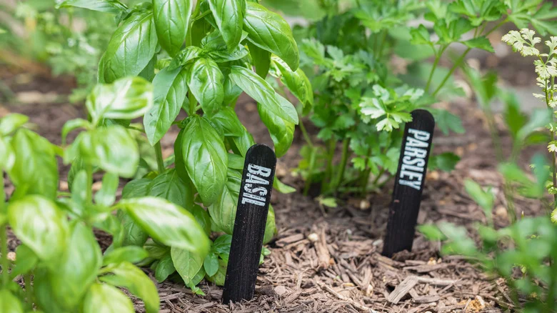 Rustic Country-Chic Plant Stakes You Can DIY With Wood Cuttings